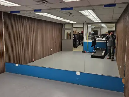 Mirror Repair
